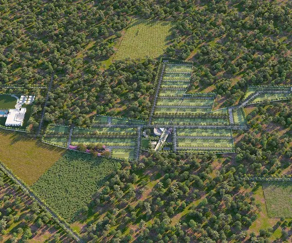 Modern farmhouse nestled among autumn maple trees